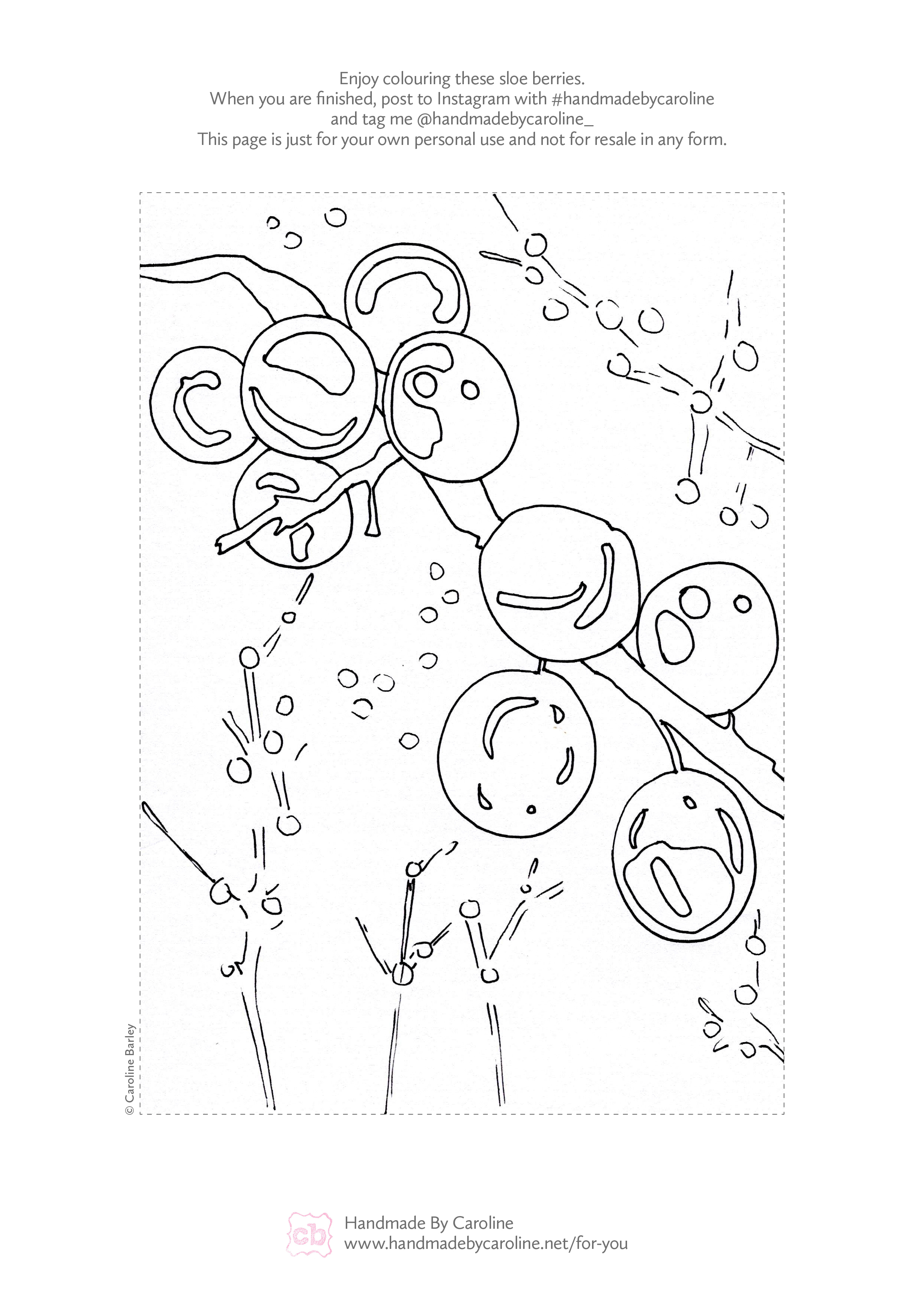 A4_sloe©carolinebarley