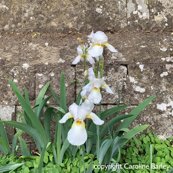 filler_morecomingsoon