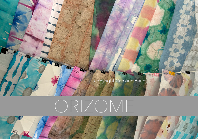 orizome_comp
