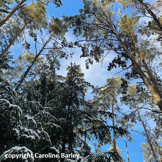 filler_portfolio_blank