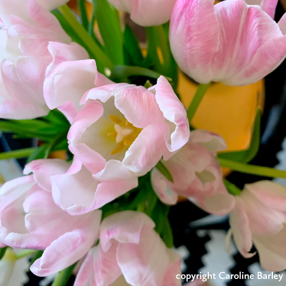 filler_portfolio_blank